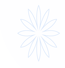 DG视讯·(中国游)官方网站